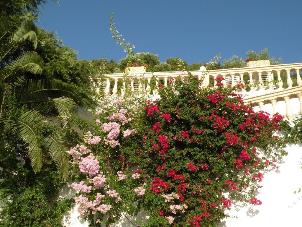 Oniro Villas Corfu Island ภายนอก รูปภาพ