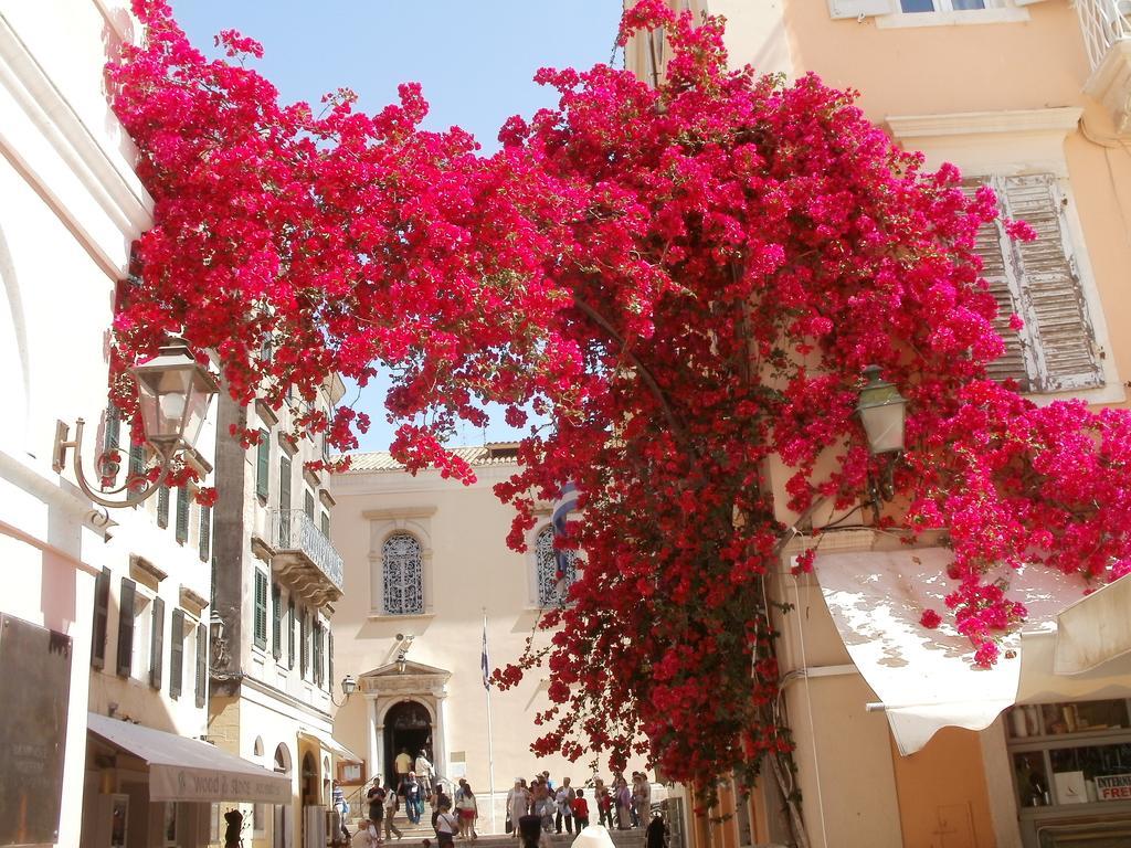 Oniro Villas Corfu Island ภายนอก รูปภาพ