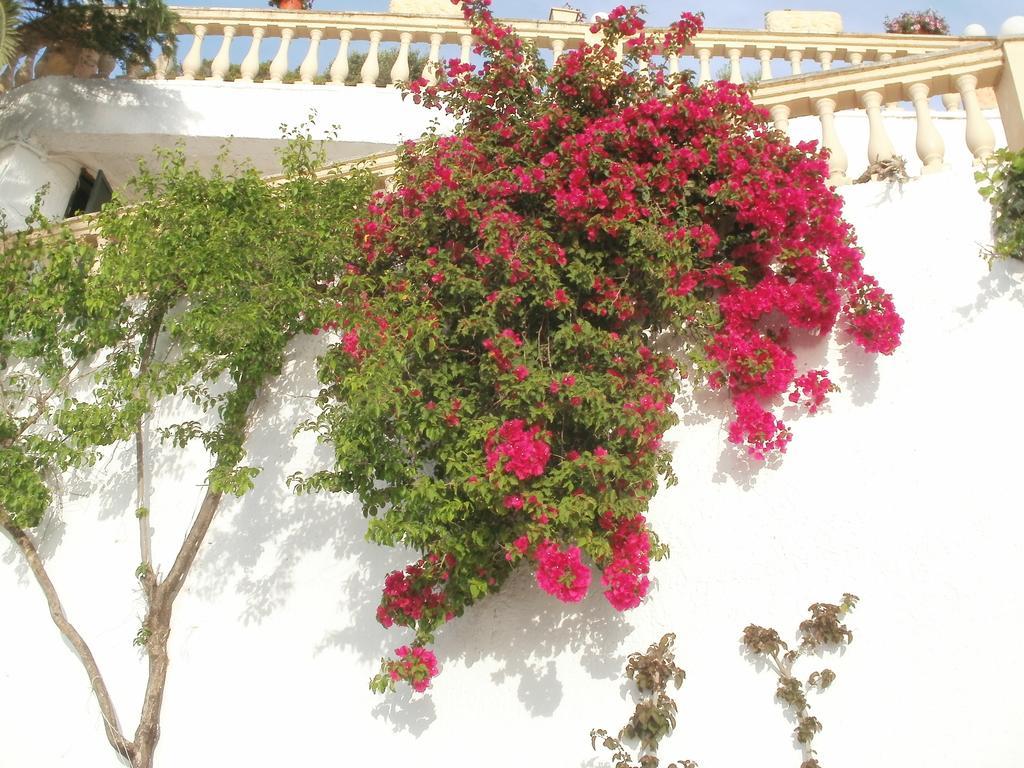 Oniro Villas Corfu Island ภายนอก รูปภาพ